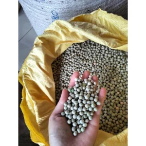 1kg hạt rau mầm Đậu Hà Lan