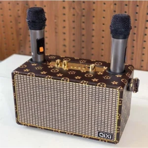 Loa Bluetooth Karaoke SK2036